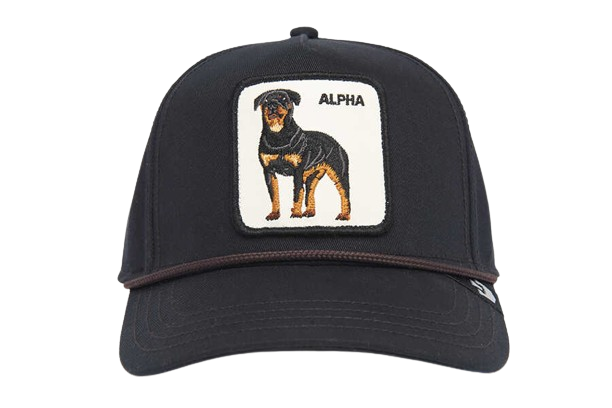 Cappello Goorin Bros Alpha Dog