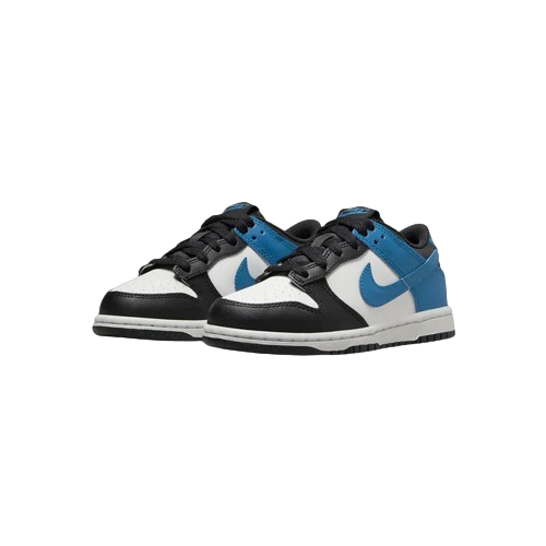 Nike Dunk Low PS